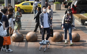 Thú vui mới của người Trung Quốc: nuôi chó robot làm cảnh, giá một con 