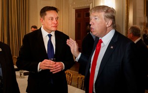 Elon Musk sa thải 1 loạt lãnh đạo cấp cao sau khi tiếp quản Twitter; tài khoản của ông Trump vẫn chưa được khôi phục