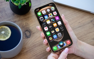 Apple vẫn ki&ecirc;n tr&igrave; b&iacute; mật ph&aacute;t triển c&ocirc;ng cụ t&igrave;m kiếm của ri&ecirc;ng m&igrave;nh, Google c&ograve;n 4 năm để chuẩn bị