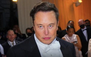 Sai lầm chí mạng của Elon Musk: Đụng vào 