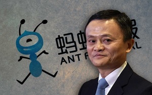 Cây muốn lặng, gió chẳng dừng - tỷ phú Jack Ma lại bị sờ gáy?