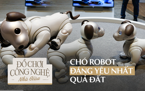 Robot dần thay thế nhân viên phục vụ nhà hàng ở Mỹ - Ảnh 2.