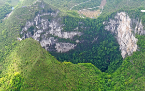 Phát hiện rừng cổ thụ dưới hố sụt ở Trung Quốc