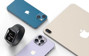 iPhone 11, 12, 13 đồng loạt lao dốc kịch sàn, có mẫu chưa đến 10 triệu đồng - Ảnh 3.