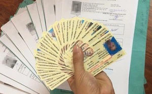 5 loại giấy tờ cần c&oacute; để đổi giấy ph&eacute;p l&aacute;i xe online từ thẻ giấy sang thẻ nhựa