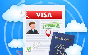 Lan rộng lừa đảo trực tuyến làm thủ tục đổi bằng lái, visa giá rẻ, xuất khẩu lao động