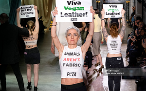 &quot;Đặc sản&quot; biểu tình tại Fashion Week đã trở lại, &quot;nạn nhân&quot; lần này là Fendi và Victoria Beckham