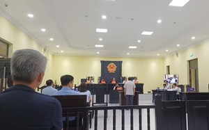 "Đại gia" điện gió Tô Công Lý bị đề nghị từ 12 - 13 năm tù