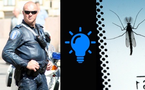 Chuyện thật như đùa: Cảnh sát Phần Lan phá án nhờ vào sự giúp đỡ của con muỗi!
