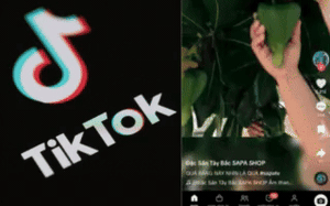 Hết bị “đăng xuất” Facebook, netizen than trời vì TikTok chập chờn