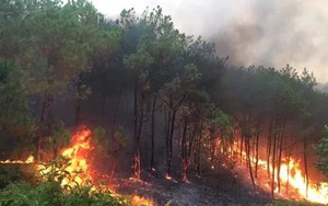 Nghệ An: Cháy rừng tại địa bàn huyện Thanh Chương và Nam Đàn