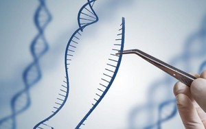Xét nghiệm ADN để tìm mẹ thất lạc, người đàn ông nhận kết quả “không ngờ tới”
