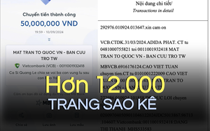 Xem và tải về sao kê của Mặt trận Tổ quốc Việt Nam hơn 12.000 trang ủng hộ đồng bào thiệt hại do ảnh hưởng bão số 3 ở đâu?