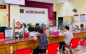 Agribank dừng toàn bộ giao dịch đối với nhóm khách hàng dưới đây