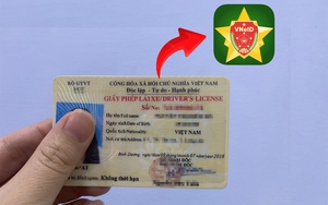 Cách thêm giấy phép lái xe vào VNeID mới nhất người dùng nên biết
