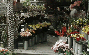 23 năm trước, đ&uacute;ng ng&agrave;y C&aacute; th&aacute;ng 4, &ocirc;ng trời đ&atilde; lấy lại m&oacute;n qu&agrave; cuối c&ugrave;ng d&agrave;nh cho nh&acirc;n gian