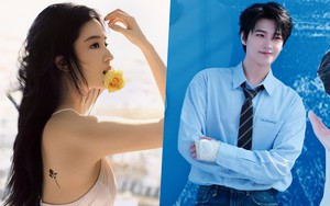 Bức ảnh chứng minh Lưu Diệc Phi m&atilde;i m&atilde;i l&agrave; thần ti&ecirc;n tỷ tỷ: Thần nữ trong tranh cũng chỉ đến vậy- Ảnh 8.