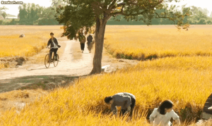 Mỹ nh&acirc;n duy nhất biến c&acirc;u "nhan sắc c&oacute; hạn thủ đoạn v&ocirc; bi&ecirc;n" th&agrave;nh 1 lời khen: Nh&igrave;n mặt l&agrave; biết chẳng tầm thường- Ảnh 4.
