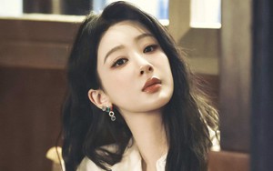 Dương Tử bị vạch mặt- Ảnh 6.