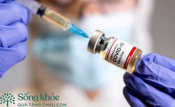 Người già mắc những bệnh gì thì không nên tiêm vắc-xin Covid-19? - Ảnh 3. Người già mắc những bệnh gì thì không nên tiêm vắc-xin Covid-19? - Ảnh 3.