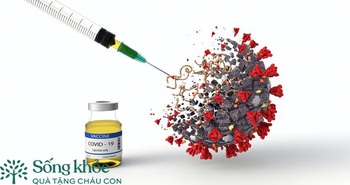 Người già mắc những bệnh gì thì không nên tiêm vắc-xin Covid-19? - Ảnh 4. Người già mắc những bệnh gì thì không nên tiêm vắc-xin Covid-19? - Ảnh 4.