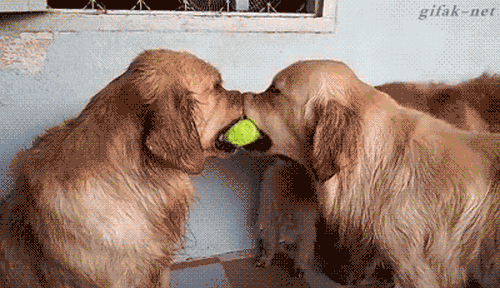 anigif_optimized-30109-1442247414-5-1a054