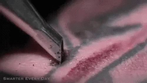 Ngắm bộ sưu tập bức h&igrave;nh động ấn tượng theo phong c&aacute;ch slow motion - Ảnh 21.