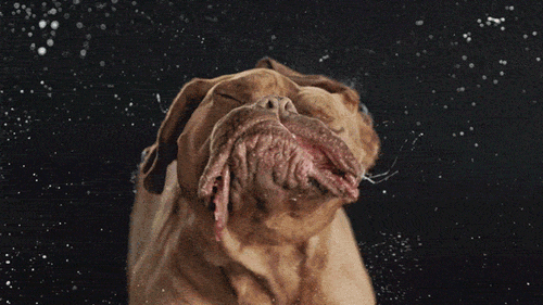 Ngắm bộ sưu tập bức h&igrave;nh động ấn tượng theo phong c&aacute;ch slow motion - Ảnh 12.