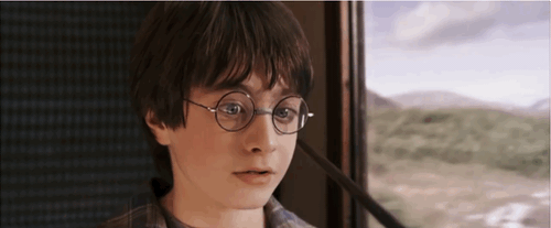 Đây là 18 giây phút mà các fan ruột của Harry Potter không thể nào quên - Ảnh 6.