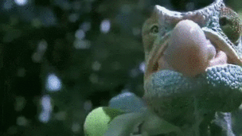 Ngắm bộ sưu tập bức h&igrave;nh động ấn tượng theo phong c&aacute;ch slow motion - Ảnh 17.