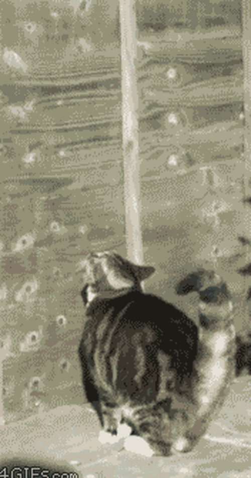 Ngắm bộ sưu tập bức h&igrave;nh động ấn tượng theo phong c&aacute;ch slow motion - Ảnh 4.