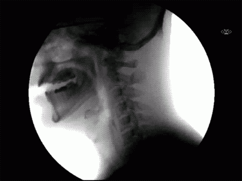 13 sự thật tuyệt vời kh&ocirc;ng ai dạy cho ch&uacute;ng ta ở trường - Ảnh 10.