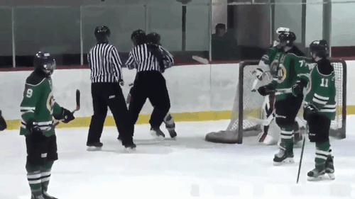 Cầu thủ hockey bị đấm gục vì nhổ nước bọt vào mặt trọng tài - Ảnh 2.