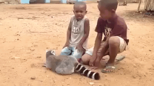 Cười ngất với c&aacute;ch m&agrave; ch&uacute; vượn c&aacute;o đ&aacute;ng y&ecirc;u giải tỏa cơn ngứa - Ảnh 2.