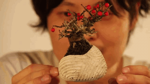 Cây bonsai bay giữa không trung ảo diệu như có phép thuật - Ảnh 3.
