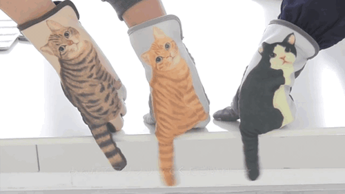 Găng tay cảm ứng dành cho các cô nàng yêu mèo - Ảnh 1.