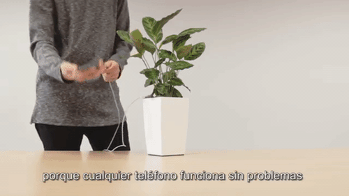 Chuyện đ&ugrave;a sắp th&agrave;nh sự thật: Sạc pin điện thoại bằng... c&acirc;y xanh - Ảnh 1.