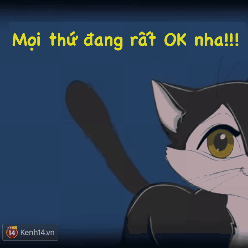 B&agrave;i viết n&agrave;y cho bạn thấy, bạn kh&ocirc;ng hiểu g&igrave; về m&egrave;o cưng nh&agrave; m&igrave;nh! - Ảnh 2.