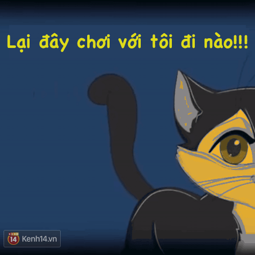 B&agrave;i viết n&agrave;y cho bạn thấy, bạn kh&ocirc;ng hiểu g&igrave; về m&egrave;o cưng nh&agrave; m&igrave;nh! - Ảnh 4.