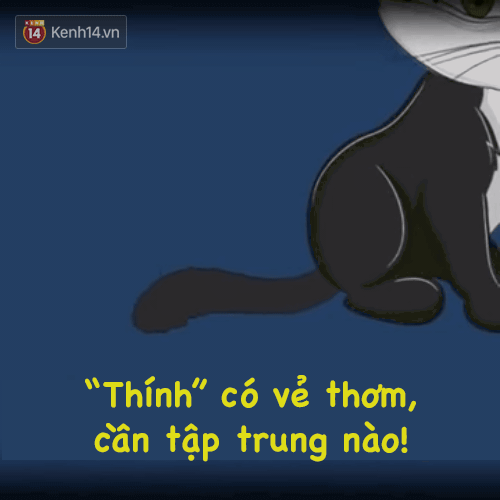 B&agrave;i viết n&agrave;y cho bạn thấy, bạn kh&ocirc;ng hiểu g&igrave; về m&egrave;o cưng nh&agrave; m&igrave;nh! - Ảnh 6.