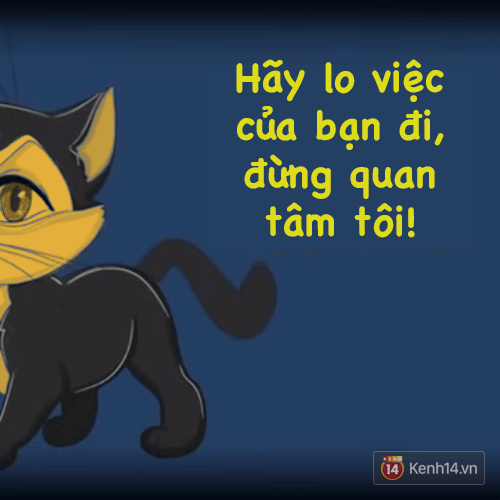 B&agrave;i viết n&agrave;y cho bạn thấy, bạn kh&ocirc;ng hiểu g&igrave; về m&egrave;o cưng nh&agrave; m&igrave;nh! - Ảnh 7.