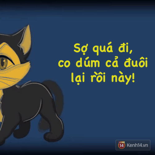 B&agrave;i viết n&agrave;y cho bạn thấy, bạn kh&ocirc;ng hiểu g&igrave; về m&egrave;o cưng nh&agrave; m&igrave;nh! - Ảnh 10.
