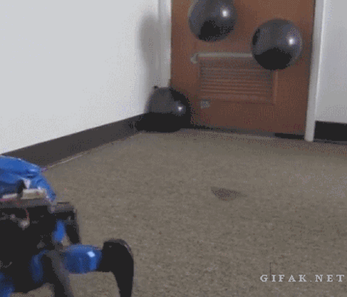 16 khoảnh khắc b&aacute; đạo của c&aacute;c robot thi&ecirc;n t&agrave;i - Ảnh 2.