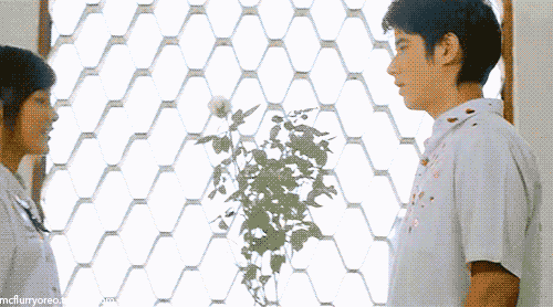 T&igrave;nh đầu l&agrave; cảm gi&aacute;c thế n&agrave;o? - Ảnh 1.