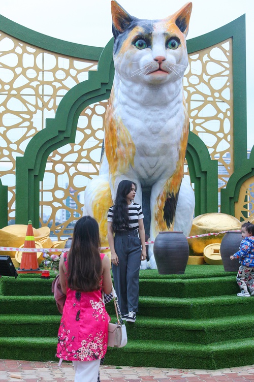 Lộ diện đàn linh vật mèo đủ biểu cảm tại đường hoa Xuân Đà Nẵng - Ảnh 6.