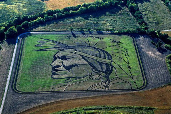 crop art 6-1f68e