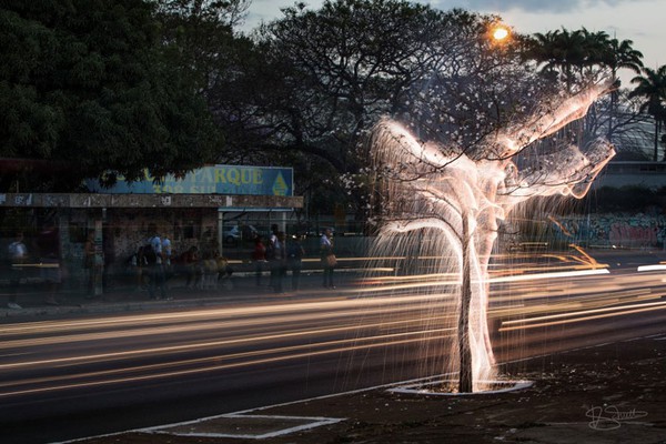 impermanent-sculptures-firework-tree-photography-vitor-schietti-1-bbf77