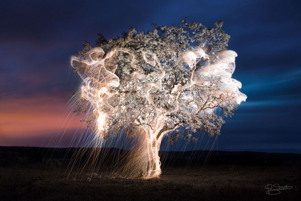 impermanent-sculptures-firework-tree-photography-vitor-schietti-11-bbf77