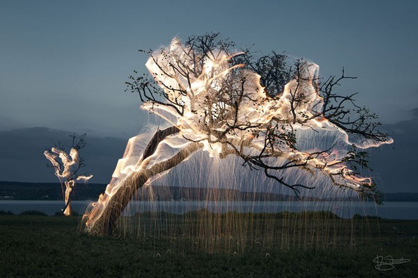 impermanent-sculptures-firework-tree-photography-vitor-schietti-12-bbf77