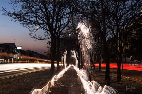 impermanent-sculptures-firework-tree-photography-vitor-schietti-2-bbf77